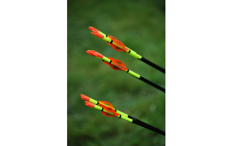 Stages saison 2016-2017